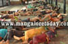 Over 350 devotees offer Madesnana at Kukke Subrahmanya Temple amid tight security